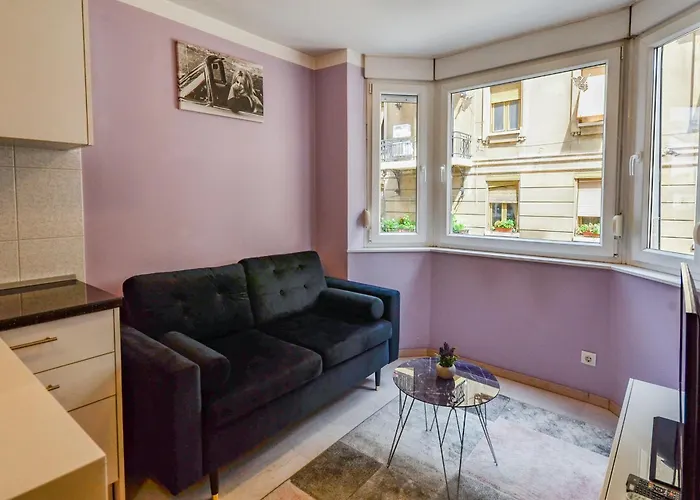 公寓 Rijeka City Studio